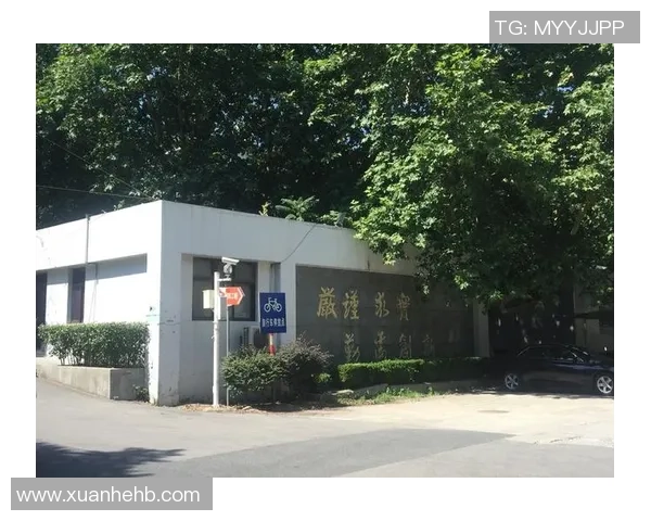 赛后分析南京乒乓球队与广州乒乓球队的战术意识与心理博弈