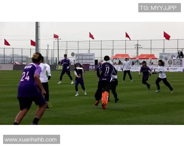 赛后分析：北京飞盘队与南京飞盘队的实力对决与战术较量