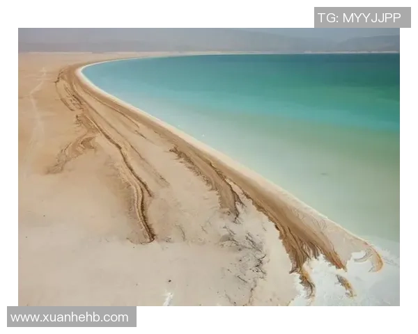 探索阿拉巴的历史与文化魅力揭示其独特的地理与人文风情